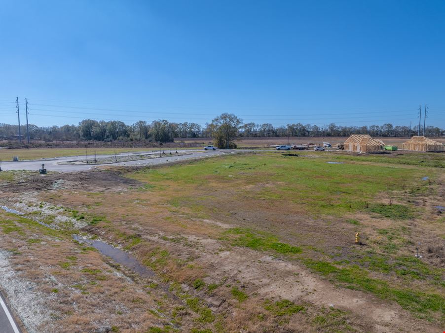 Rosewalk Development Site