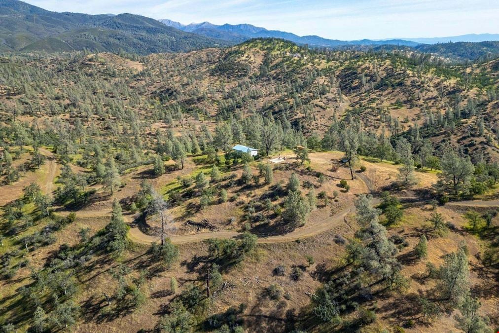 ±20 Acres of Level Land in Igo, CA