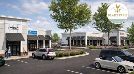 Preview of Retail space for Rent at 10417 U.S. 17