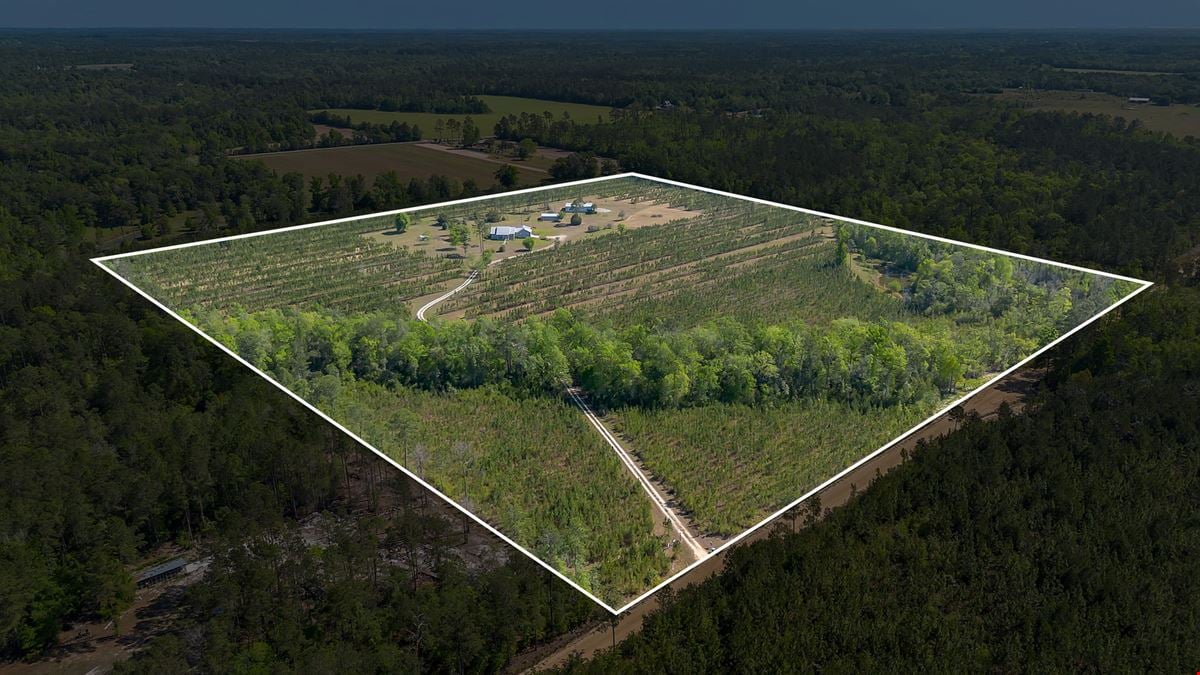 41+/- AC Residence, Farm, Timber + 1200 SF & 1800 SF storage buildings
