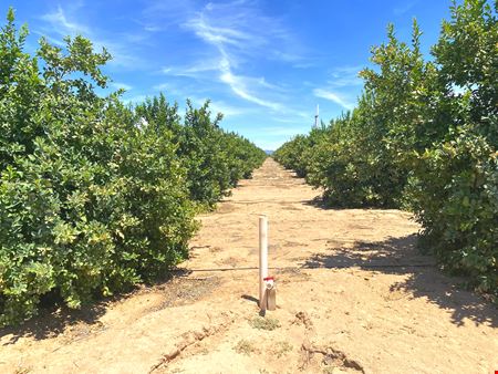 Preview of VacantLand space for Sale at Citrus Property - County 19th Street and Avenue A
