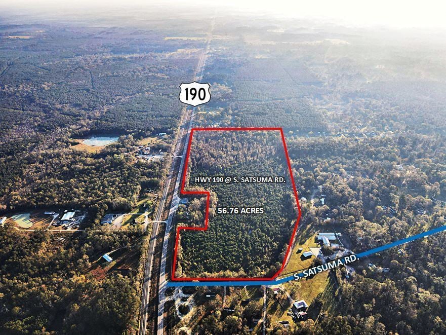 Hwy 190 at Satsuma Rd with Access to I-12- 56.76 Acres For Sale