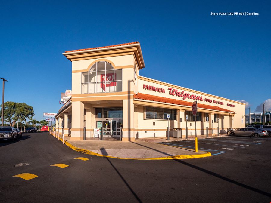 A-NNN Leased Retail Portfolio in Puerto Rico