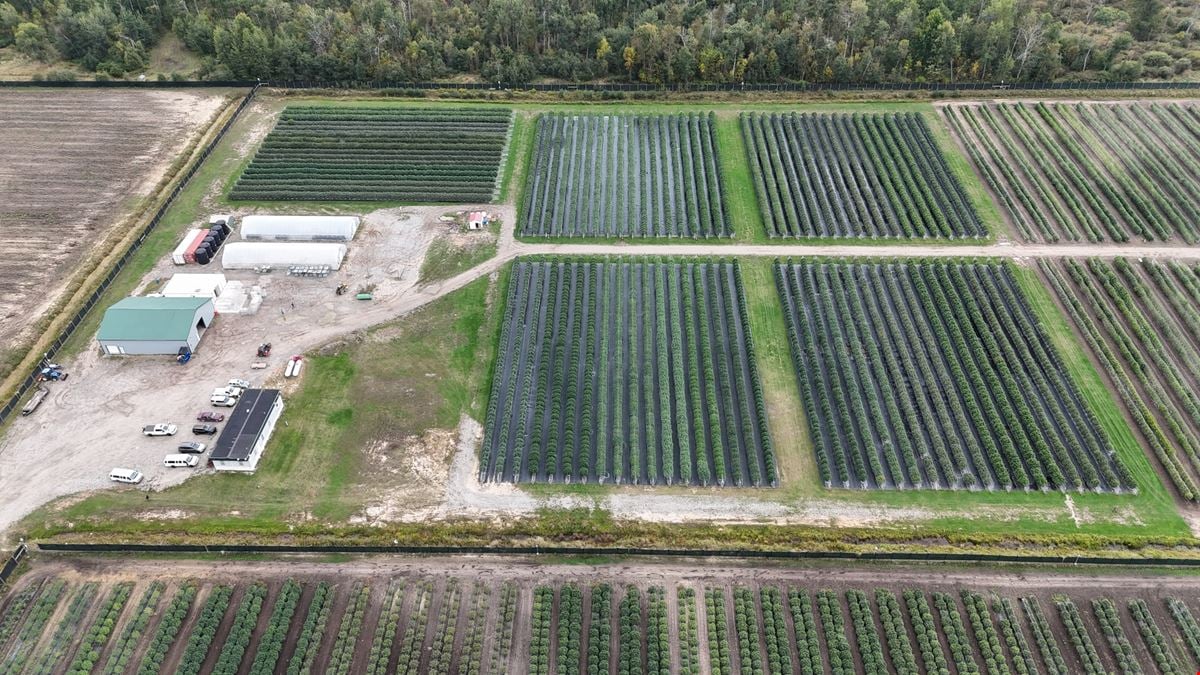 Tawas City - Former Operating/Turnkey Cannabis Outdoor Cultivation Operation