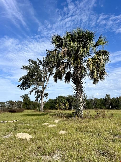 478+/- Acres in the Heart of Horse Country