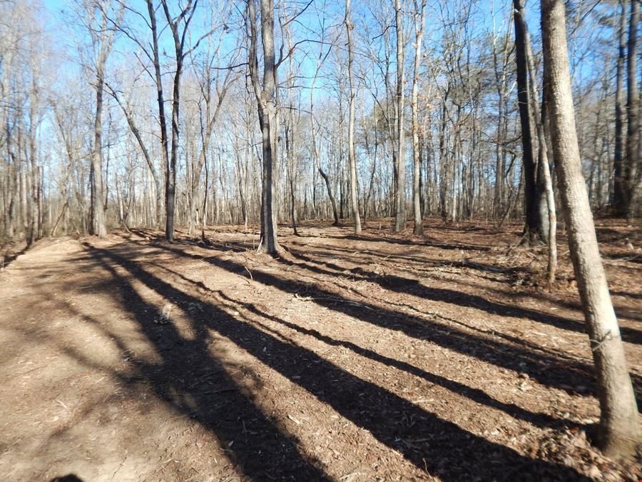 Lot 24 & 25 Sylvania Estates