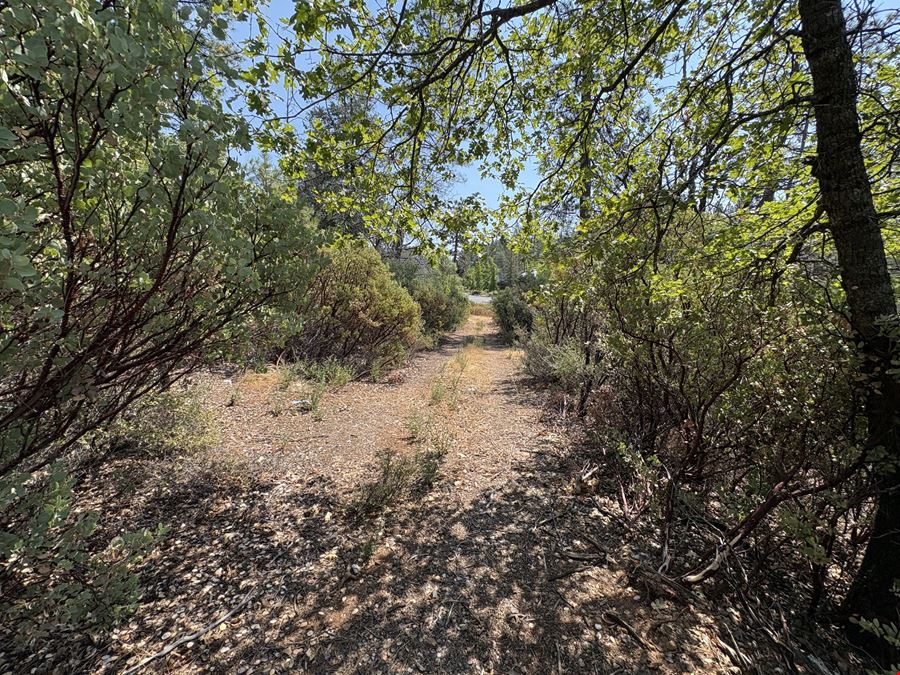1250 Whispering Pines Ln