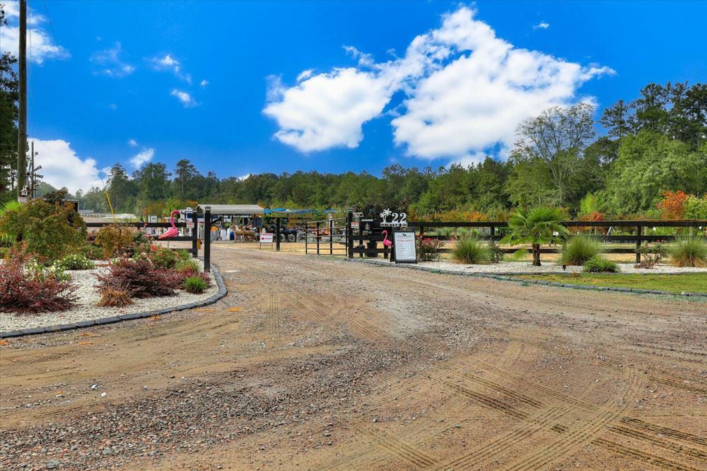 Southern Carolina Palms & More - Nursery & Landscape
