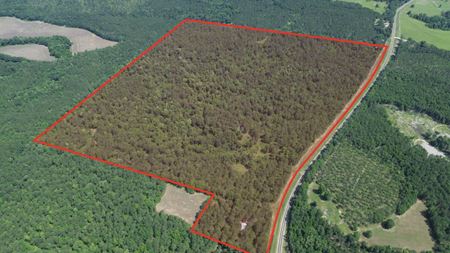 Preview of VacantLand space for Sale at 269 Cotton Hill Road