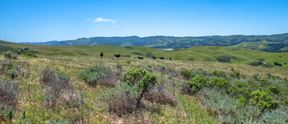 Santa Rita Ranch