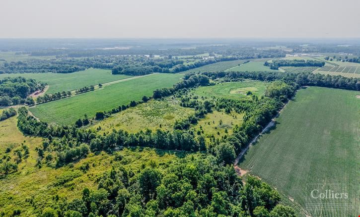 ±46.96-Acre Recreational & Residential Tract | Monetta, SC