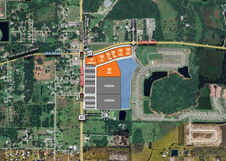 Parrish Town Center | Grocery-Anchored Parcels