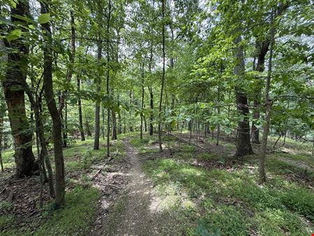 Preview of VacantLand space for Sale at Mad Hatter Road