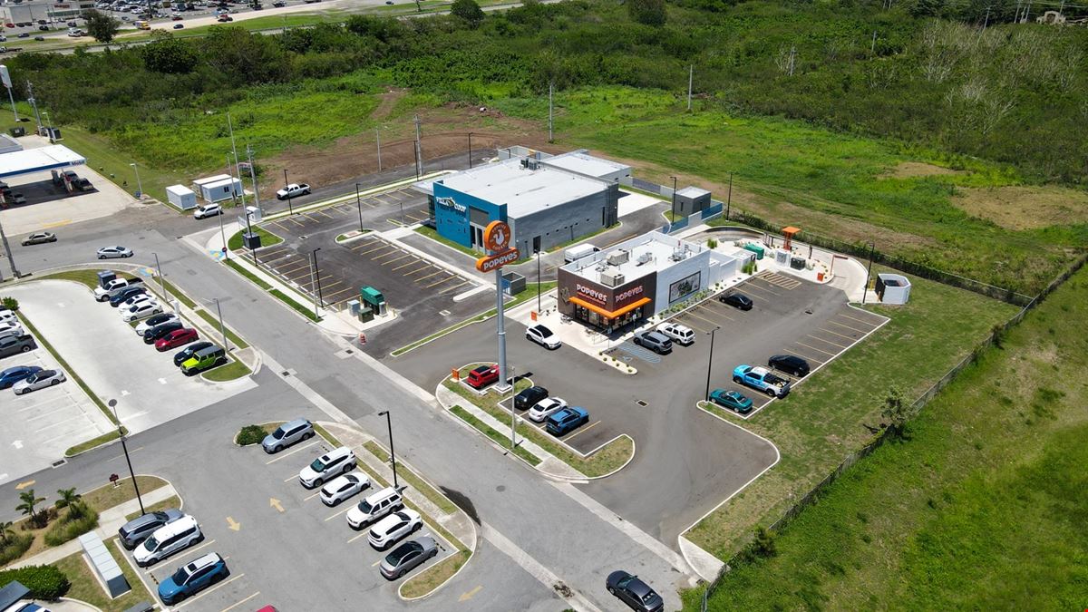 PR-149 & PR-52 Juana Diaz