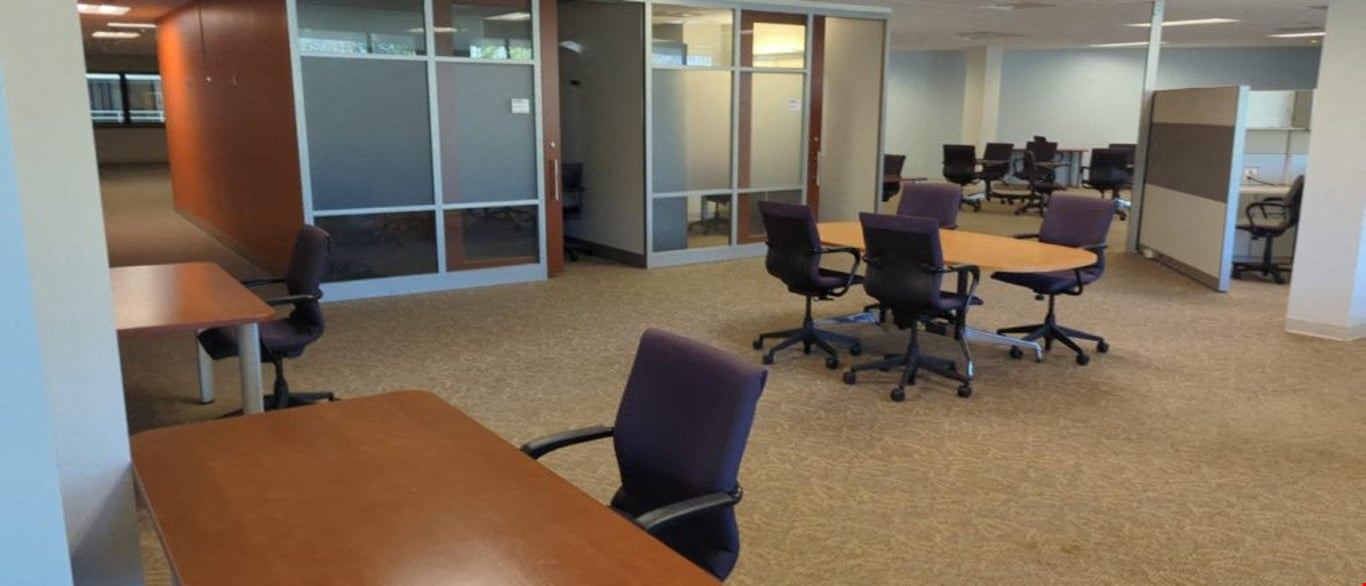 The Orchard Co-Working Spaces
