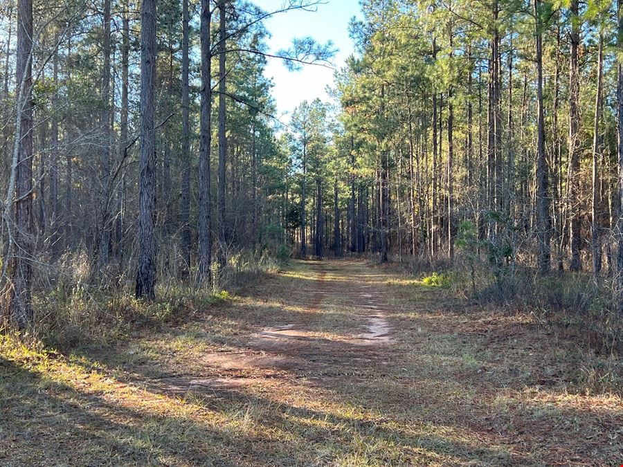 Lily Pad Ranch 1,472± Acres in Northwest Florida – Premier Recreational & Timber Investment Tract