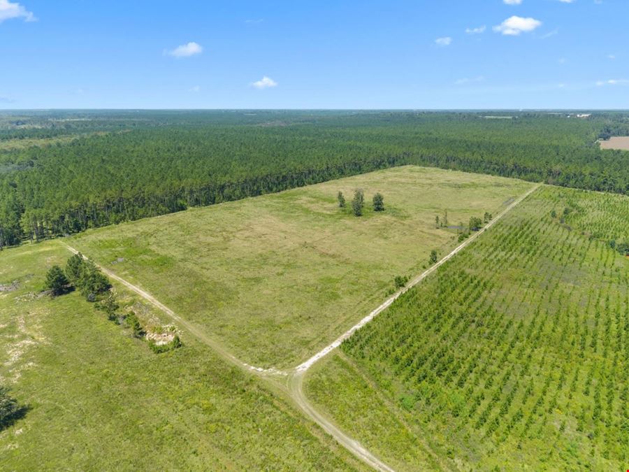 1726 GA Hwy 147