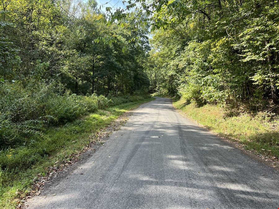 Cox Hollow Rd