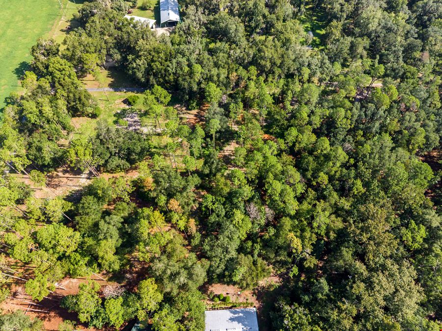 Brooksville 5 Acre Tract