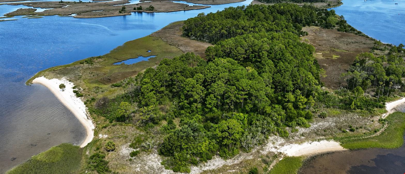 Timber Island 35+ Acres on the Carrabelle River