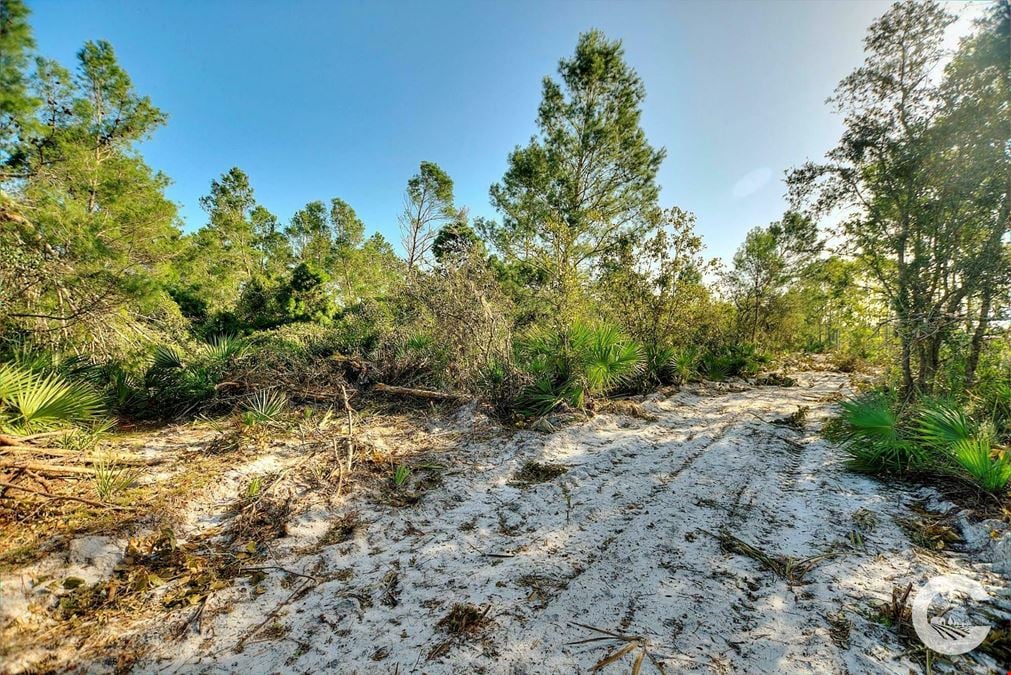 6.34 Acre Residential Homesite in Frostproof, FL