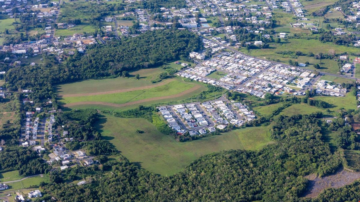 16 Cuerdas Strategically Located @ Camaceyes, Aguadilla FOR SALE