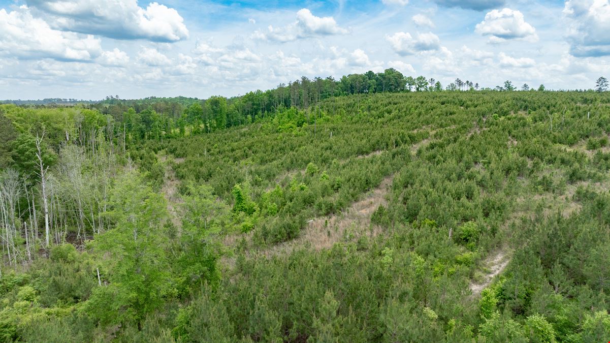 Buck Creek Hunting Property