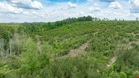 Buck Creek Hunting Property