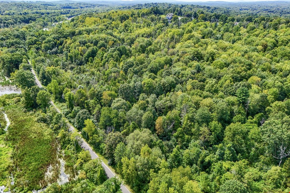 49 Acre Development Site - Municipal Water and Sewer