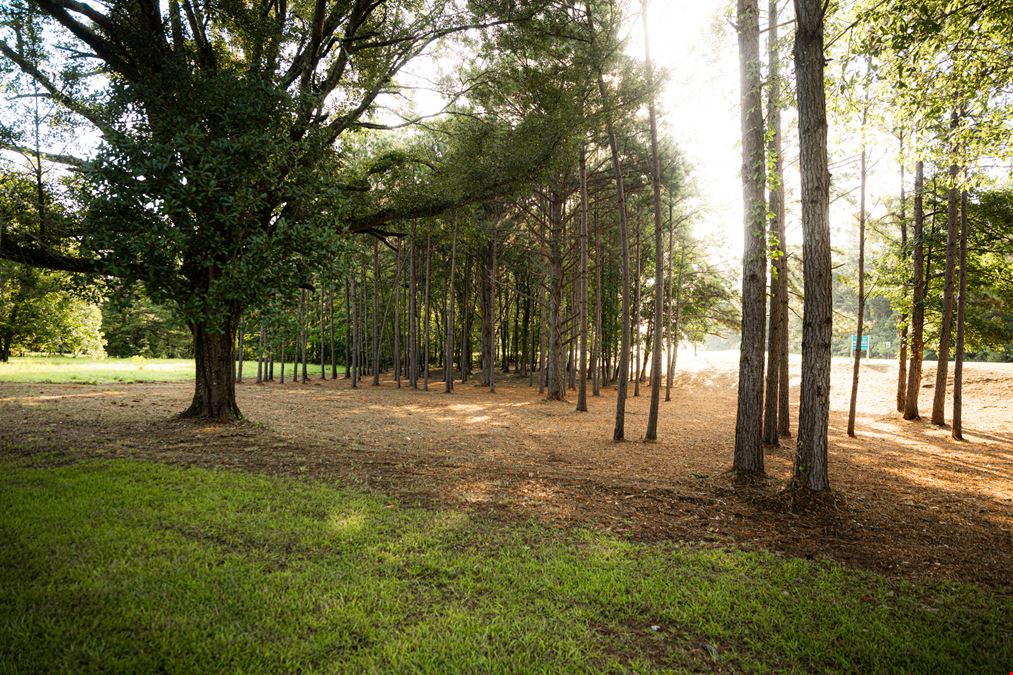 Highland Colony Parkway & Park Place - Corner Lot