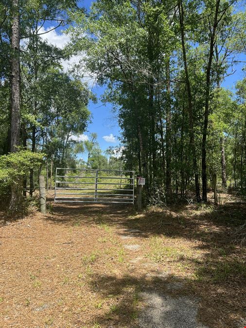 Citrus County 189 Acres