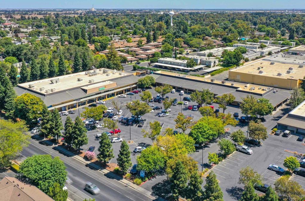 Shade Tree Plaza