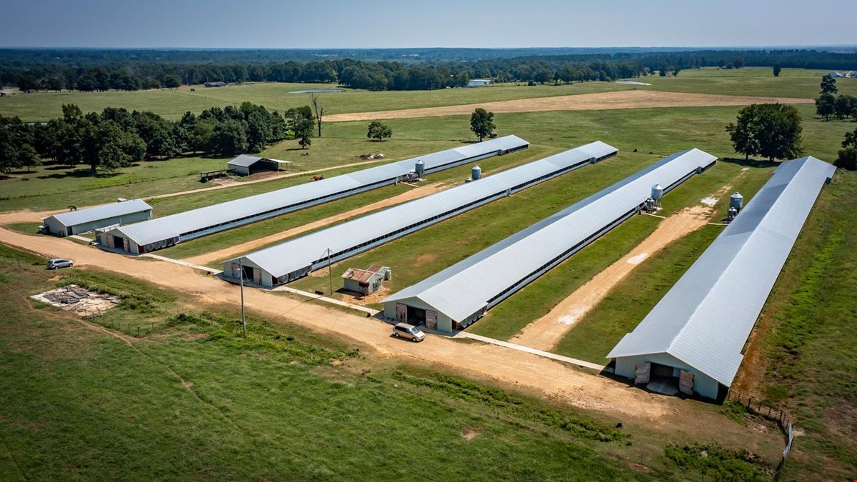 Hope Arkansas Chicken Farm