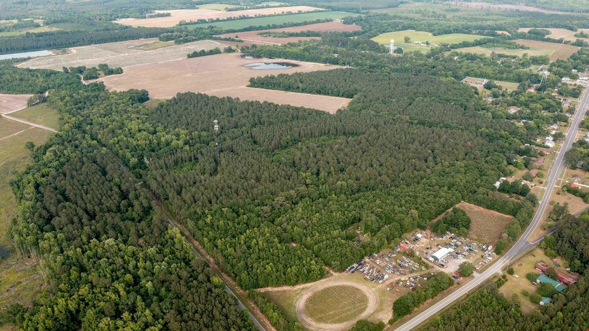 51.46 Acres of Land FOR SALE in Olar, SC