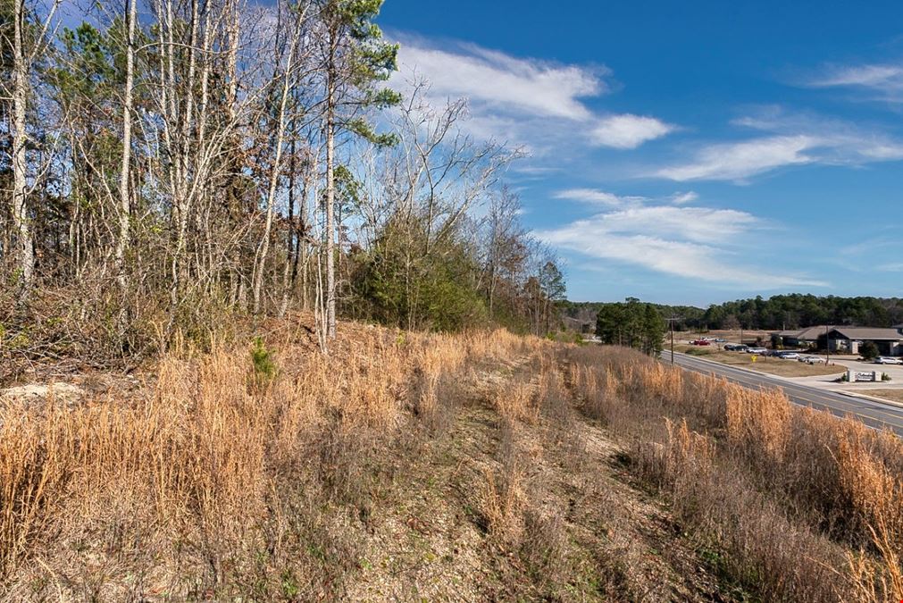 2600 Block Park Avenue, Lot 2L, Hot Springs, AR 71901