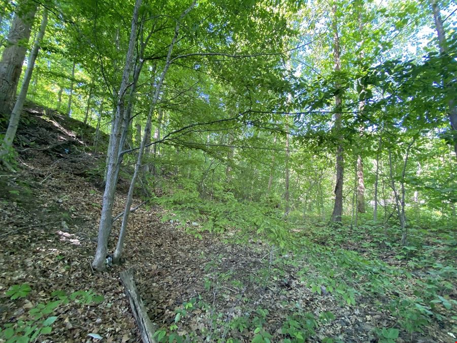 111 N Red Bank Road