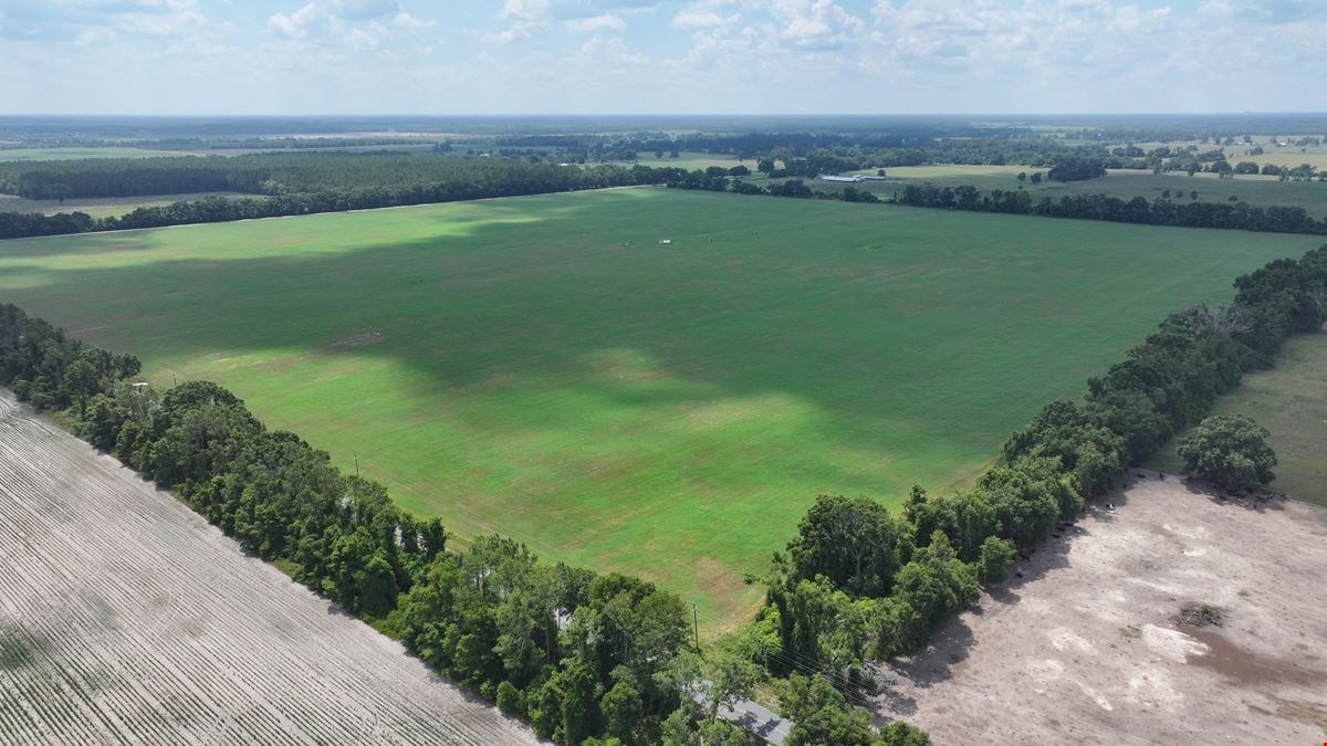 Suwannee County Quarter Section Farm