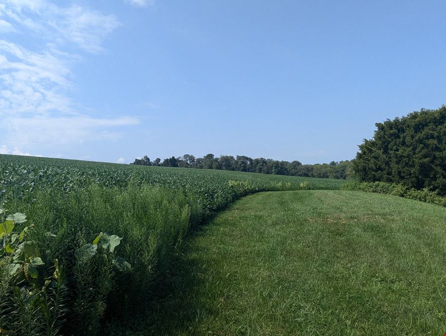 Buildable 10 Acre Home Site