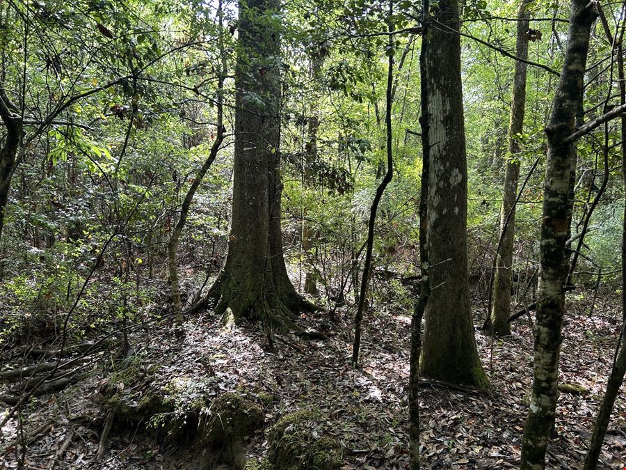 Fox Pen Tract