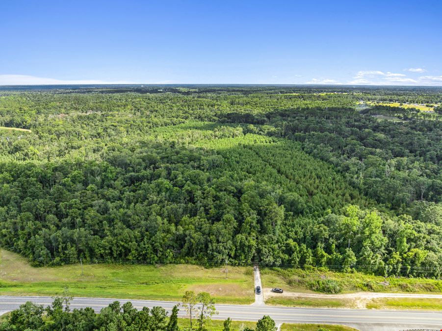 Withlacoochee River Timber and Hunting