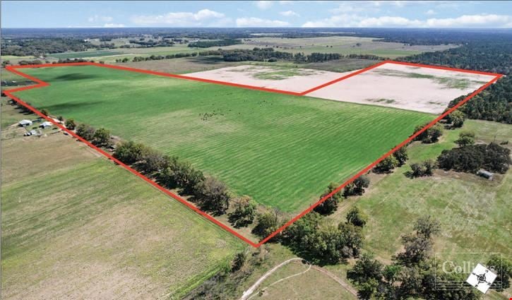 For Sale: 190 Acres | Dunnellon, FL