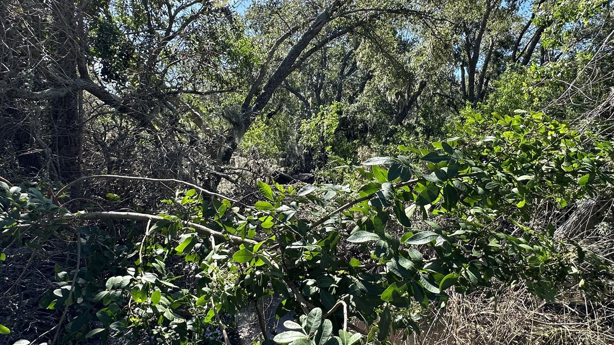 Executive Homesite - 4.19 Acres, Florida