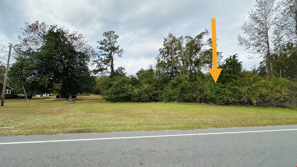 10.5 Acre Site US Hwy 17 Brunswick County NC