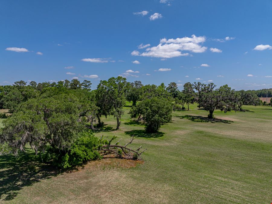 Alachua Transitional Acreage