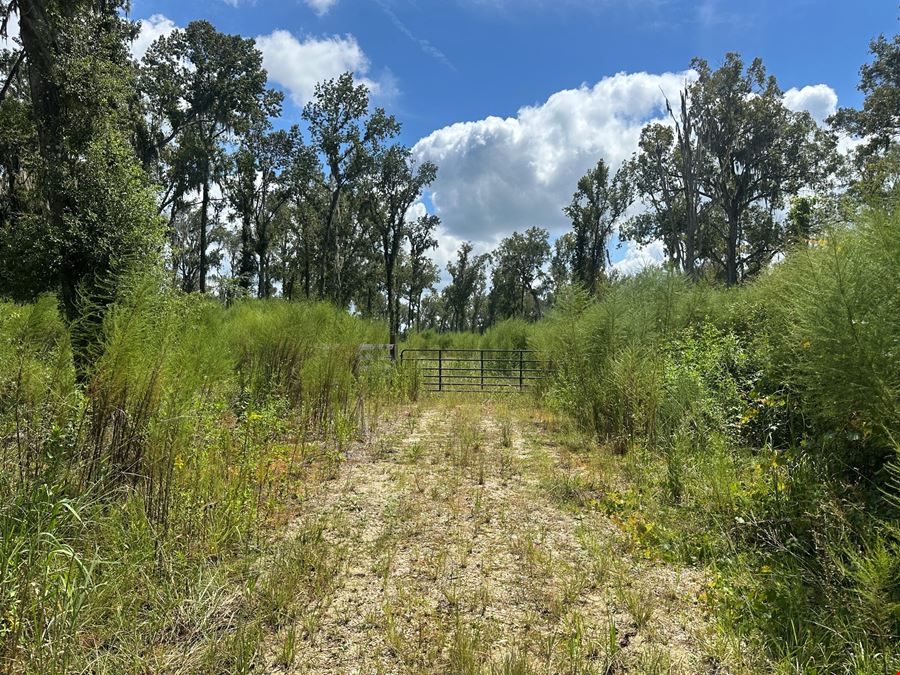 59+/- Acres Horse Country
