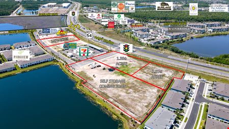 Preview of commercial space at SR 54 & Sunlake Boulevard