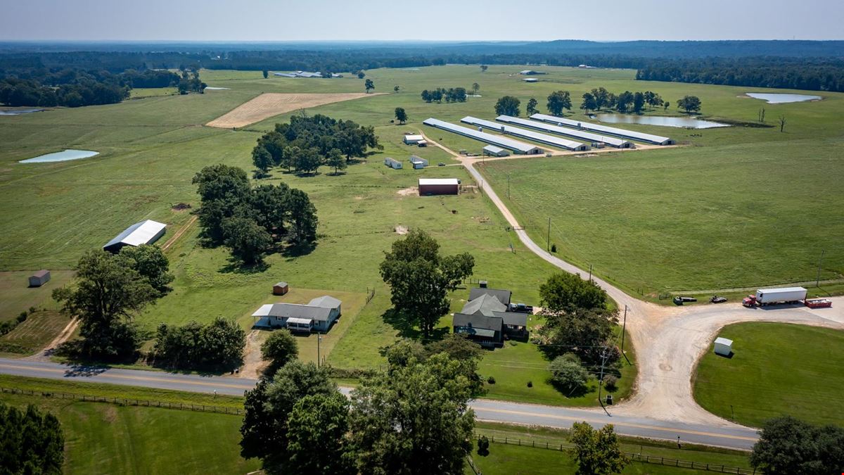 Hope Arkansas Chicken Farm