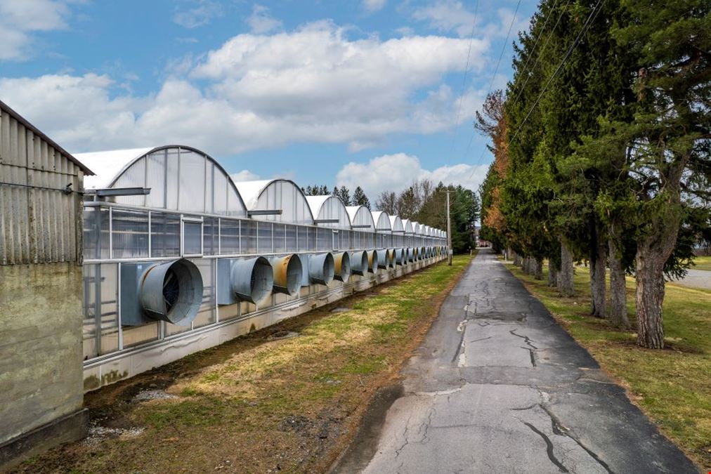 Brightwater Farm