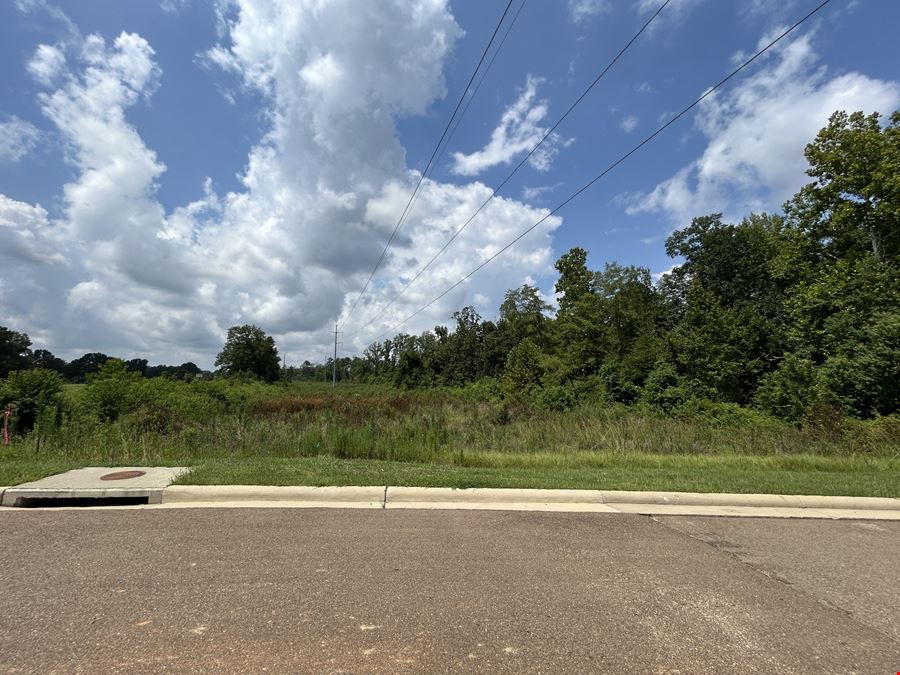 6.02 Acres Lakeland Drive