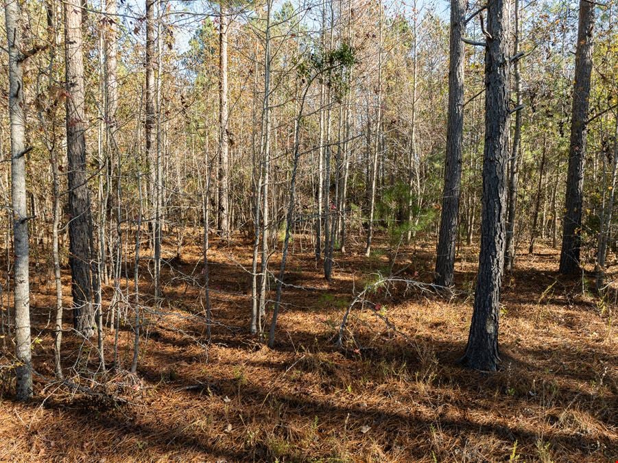 ± 10.16 Unrestricted Acres in Laurens, SC